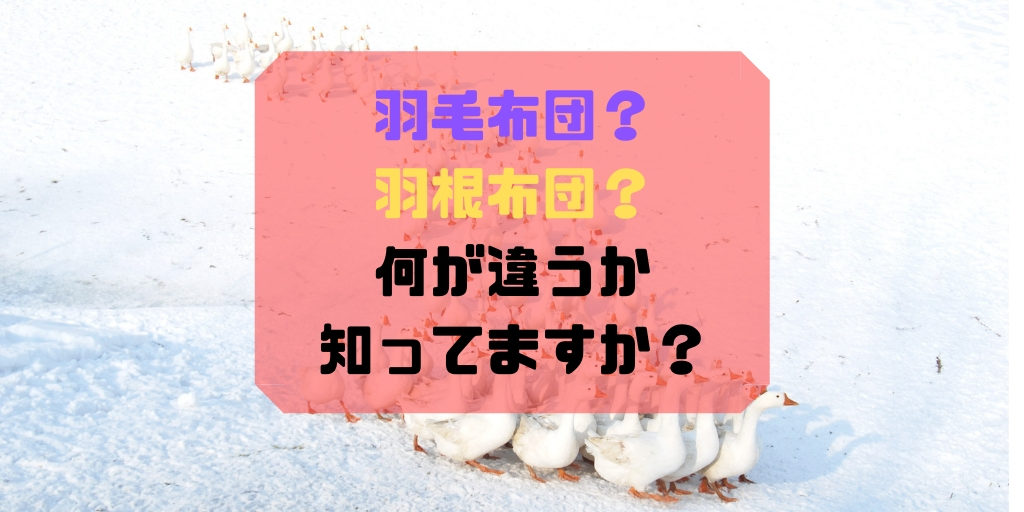 羽毛布団と羽根布団の違いと特徴を比較 簡単な見分け方を解説 サボログ
