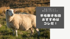羊毛敷布団のおすすめアイキャッチ
