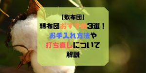 綿布団おすすめ3選EC