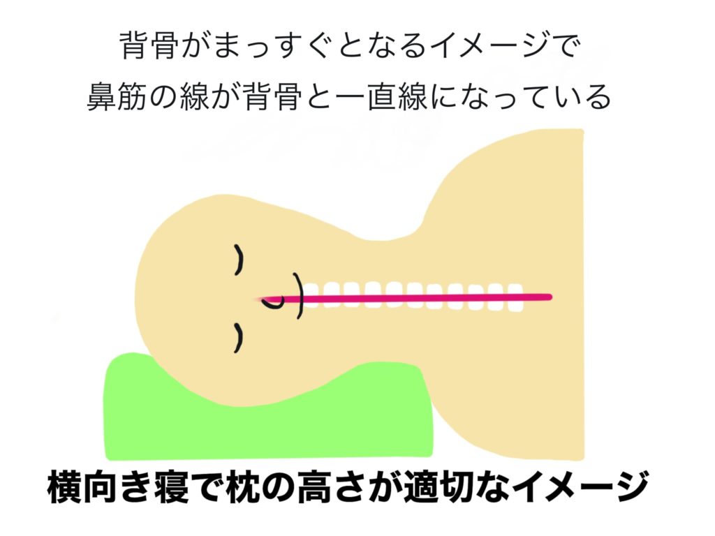 枕の高さの選び方はコレ 自分にあう高さの簡単な判別方法と注意点 イラストで図解 サボログ