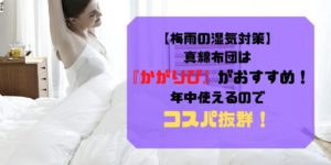 かがりびEC