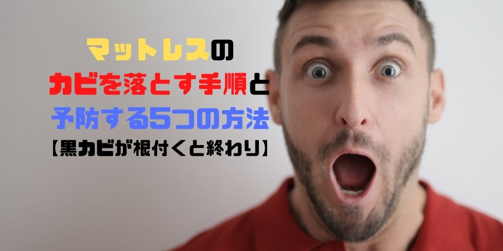 マットレスのカビを落とす手順と予防する5つの方法 黒かびが根付くと終わり サボログ