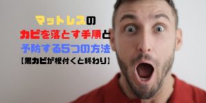 マットレスのカビ対策EC