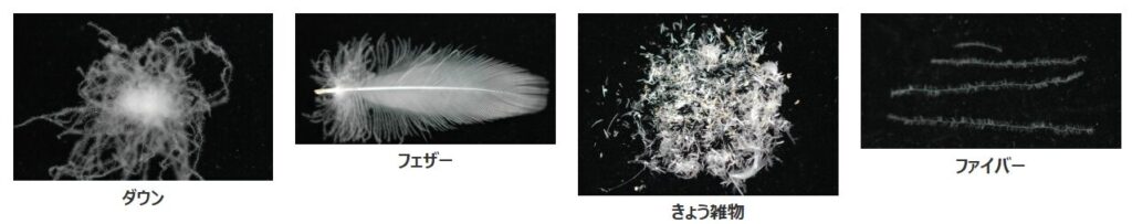 羽毛の種類について